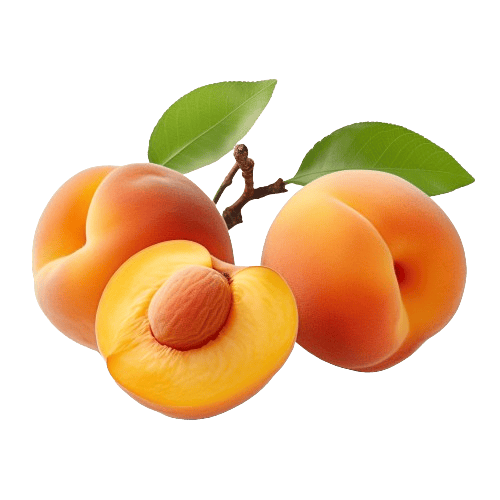 Apricot